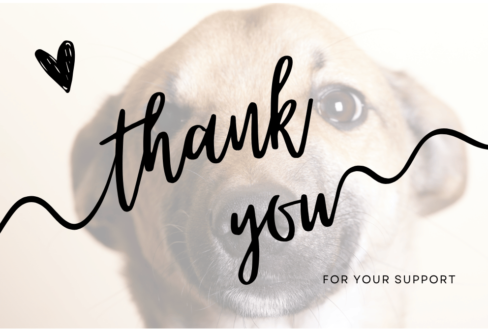 Thank you for your support